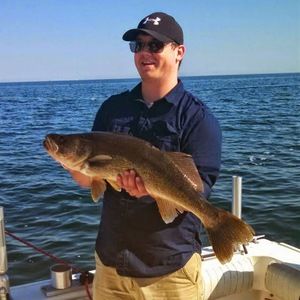 Meet your Posher, Dave