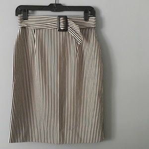 Vintage Ann Taylor Striped Skirt