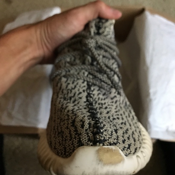 Yeezy boost 350 Turtle dove - Picture 3 of 8