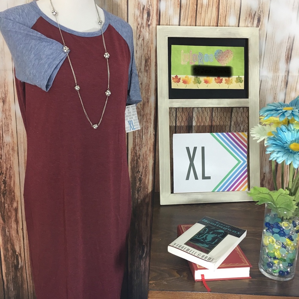 LuLaRoe Julia dress