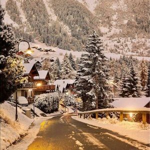 Meet your Posher, Adiyasuren