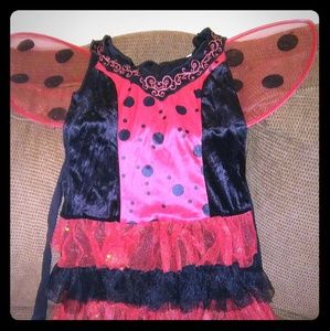 Lady Bug costume