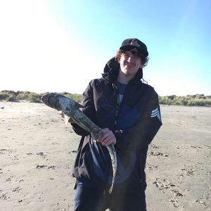 Meet your Posher, Allen