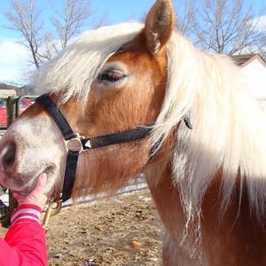 Meet your Posher, Shelley-steve