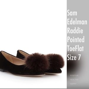 NWOT Sam Edelman Raddie Pointed Toe Flats