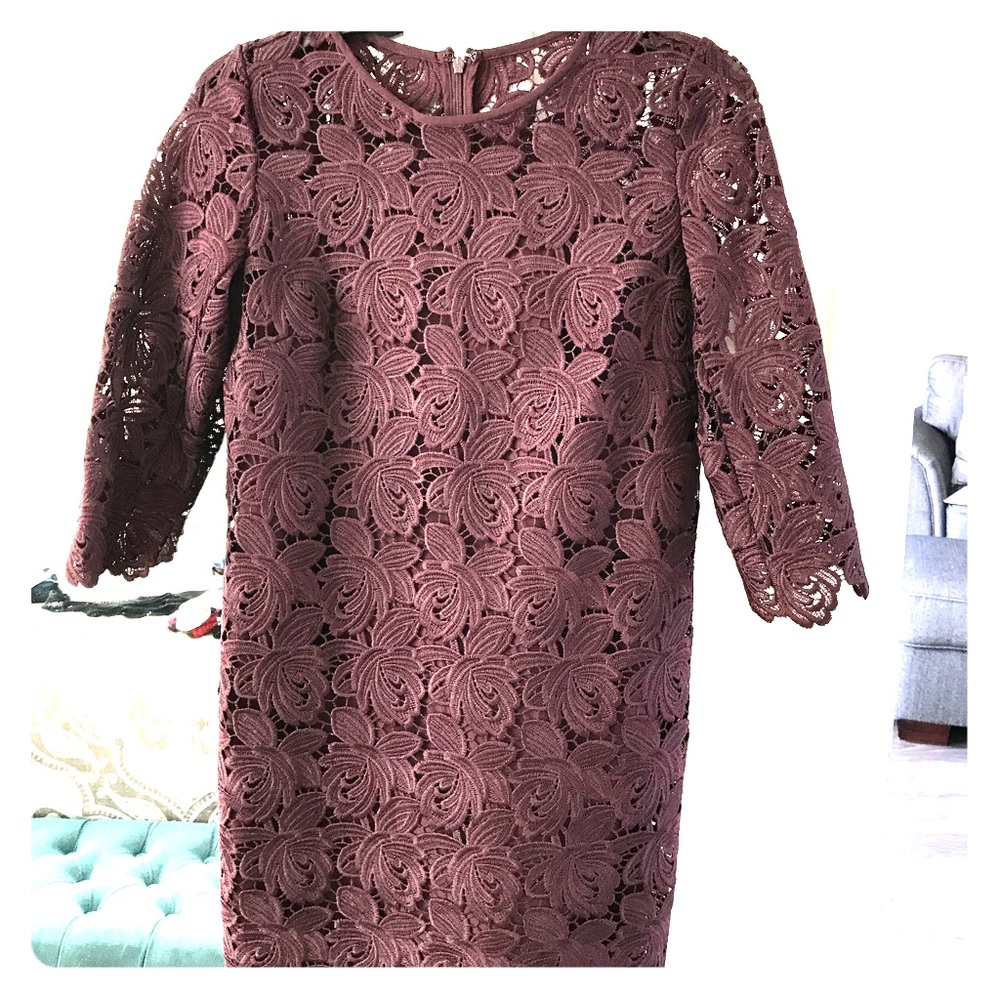 NWT Ann Taylor LOFT Lace Shift Dress 00P