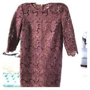 NWT Ann Taylor LOFT Lace Shift Dress 00P