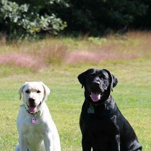 Meet your Posher, Karen