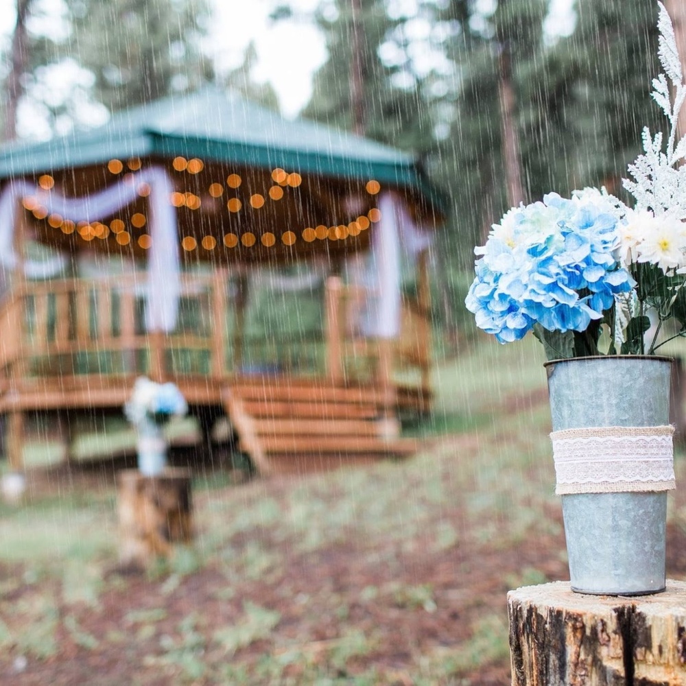 Meet your Posher, Corrine