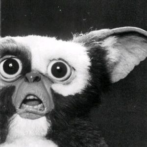 Meet your Posher, Alejandra