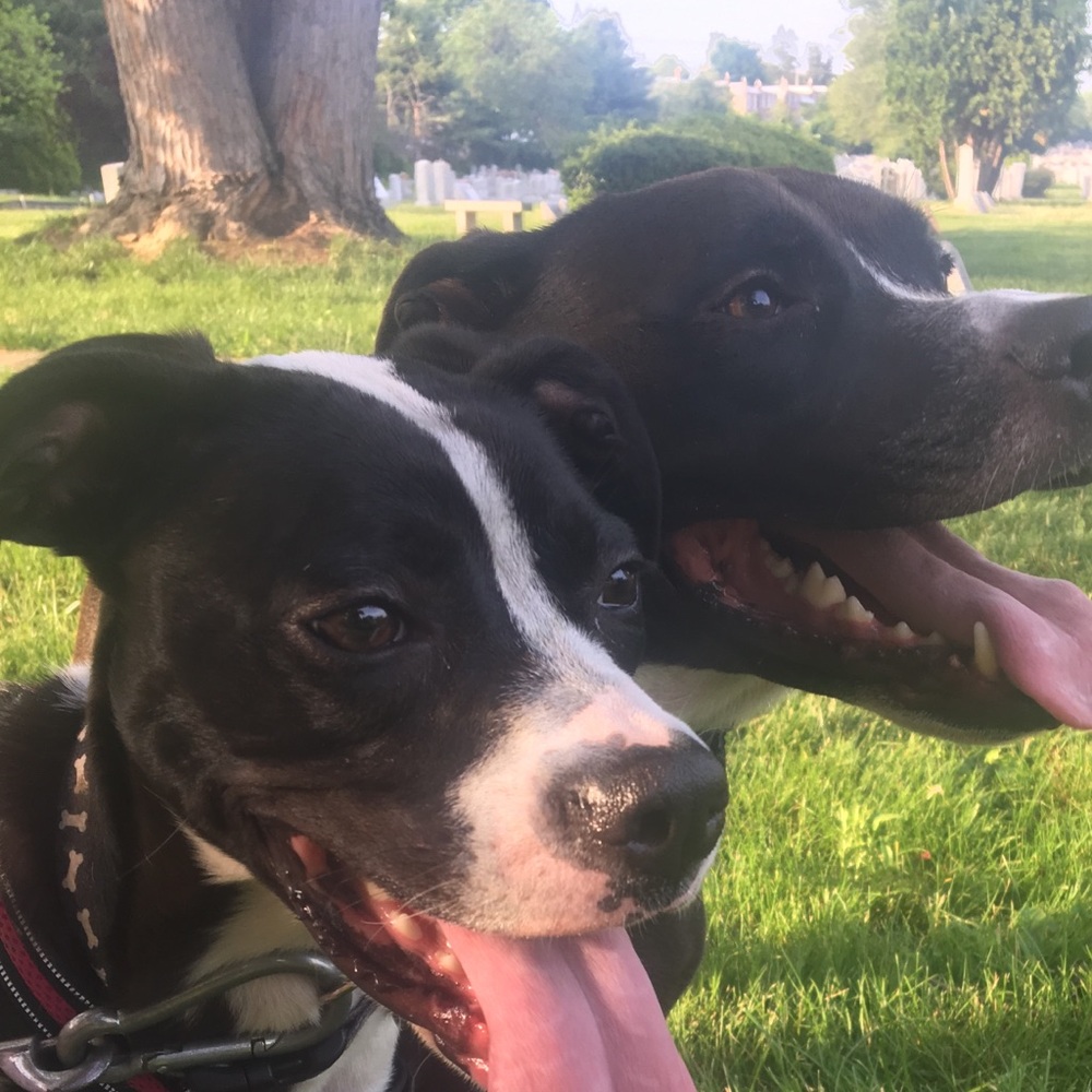 Meet your Posher, Elissa