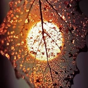 Meet your Posher, Rosie