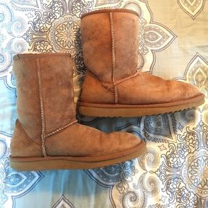 Chestnut Short UGG Boots👢