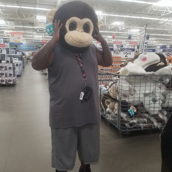 Meet your Posher, Frank - Picture 1 of 1