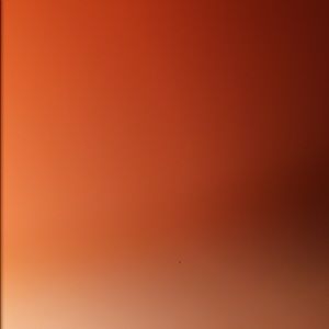 Meet your Posher, Josephine