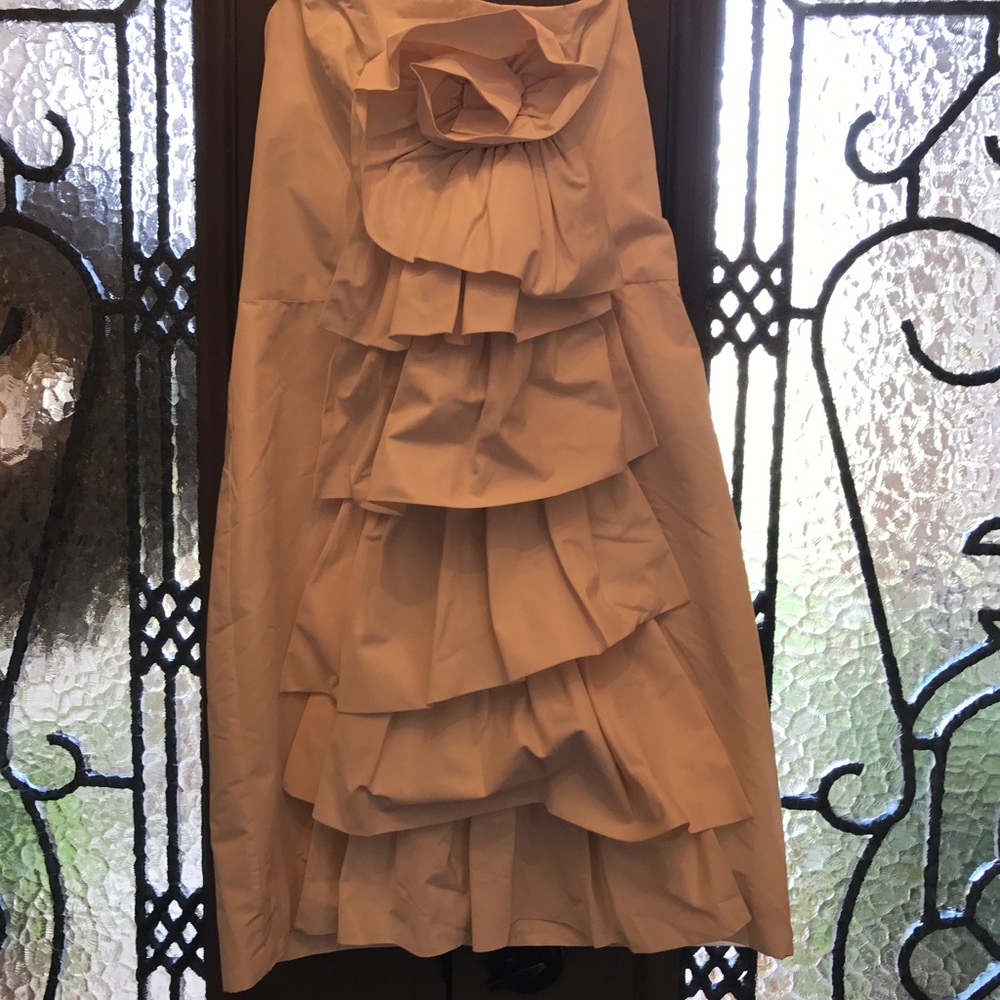 BCBG party dress