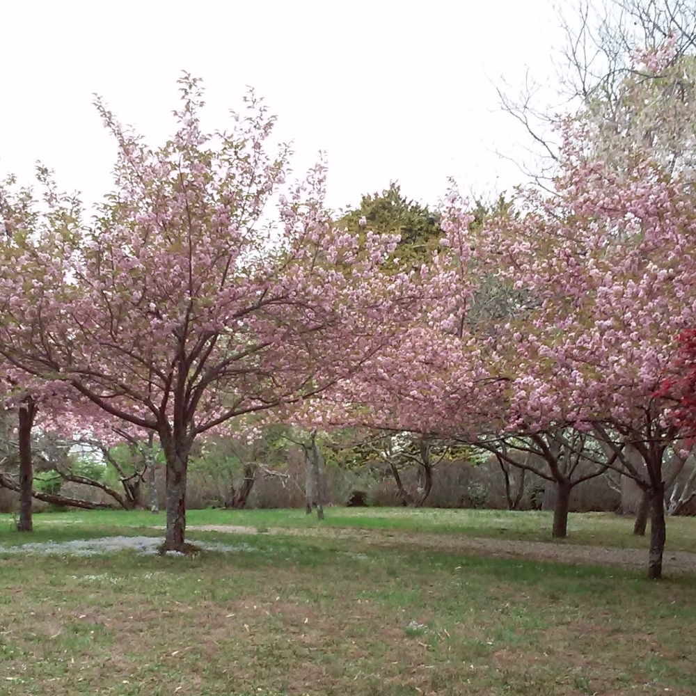 Make an offer!  All items are negotiable!