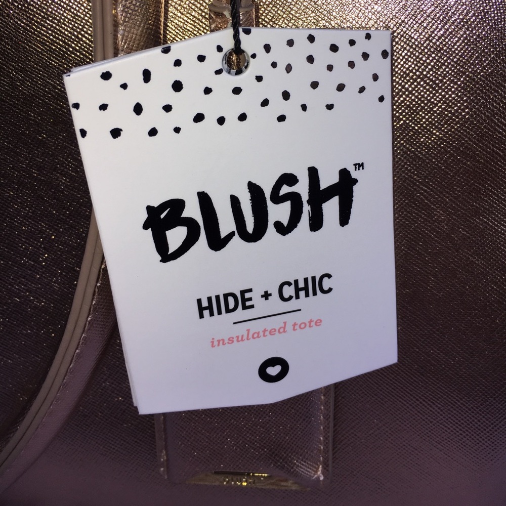 NWT BLUSH INSULATED WINE TOTE!   LAST ONE!! - Picture 3 of 8