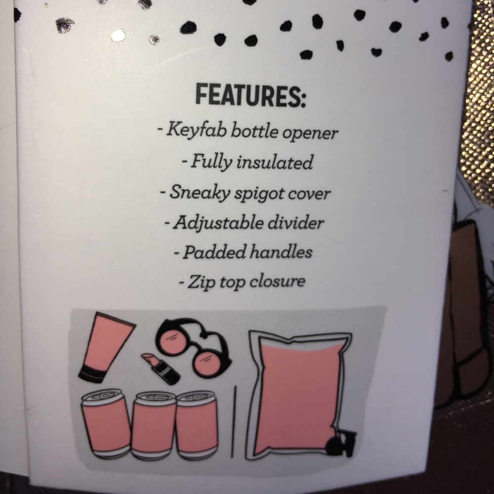 NWT BLUSH INSULATED WINE TOTE!   LAST ONE!! - Picture 2 of 8