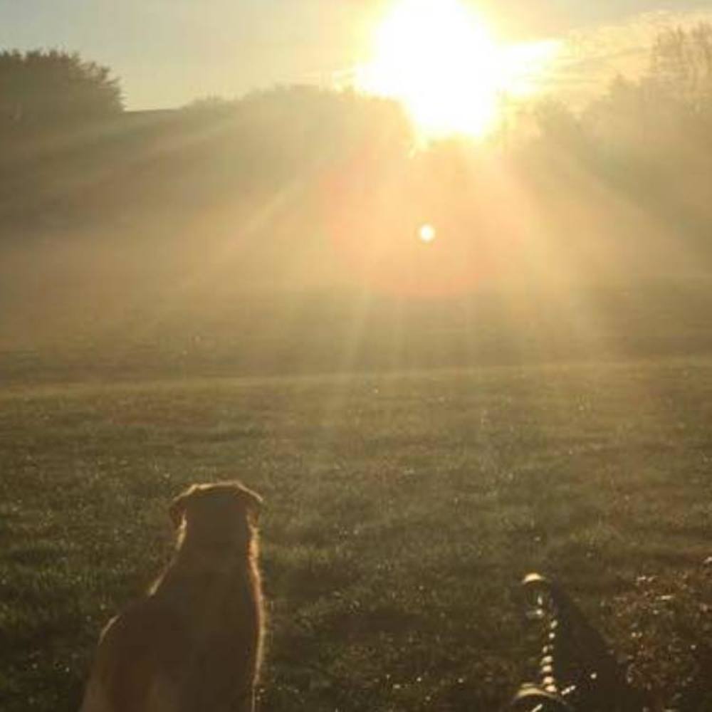 Meet your Posher, Tanya