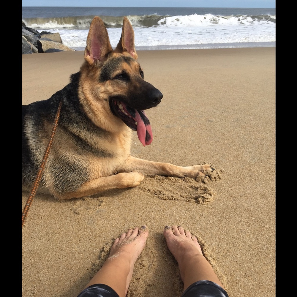 Meet your Posher, Lauren