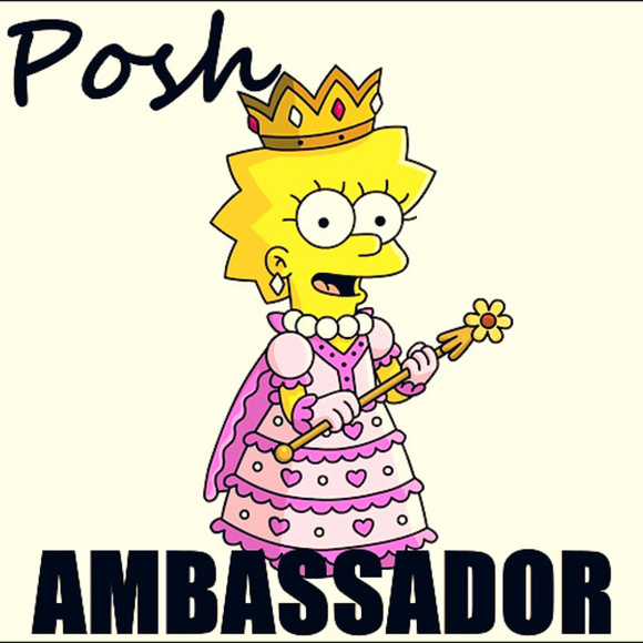 Posh Ambassador!  My Closet Stats main image 4