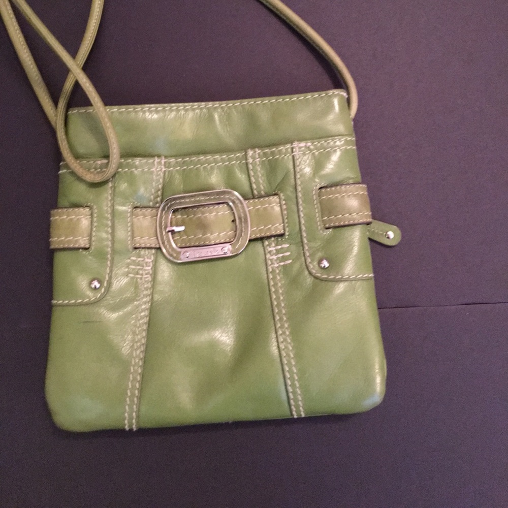 Tignanello Crossbody Purse Organizer Green Leather