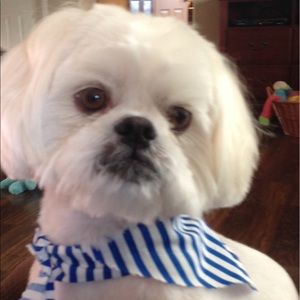 Meet your Posher, Ruthie