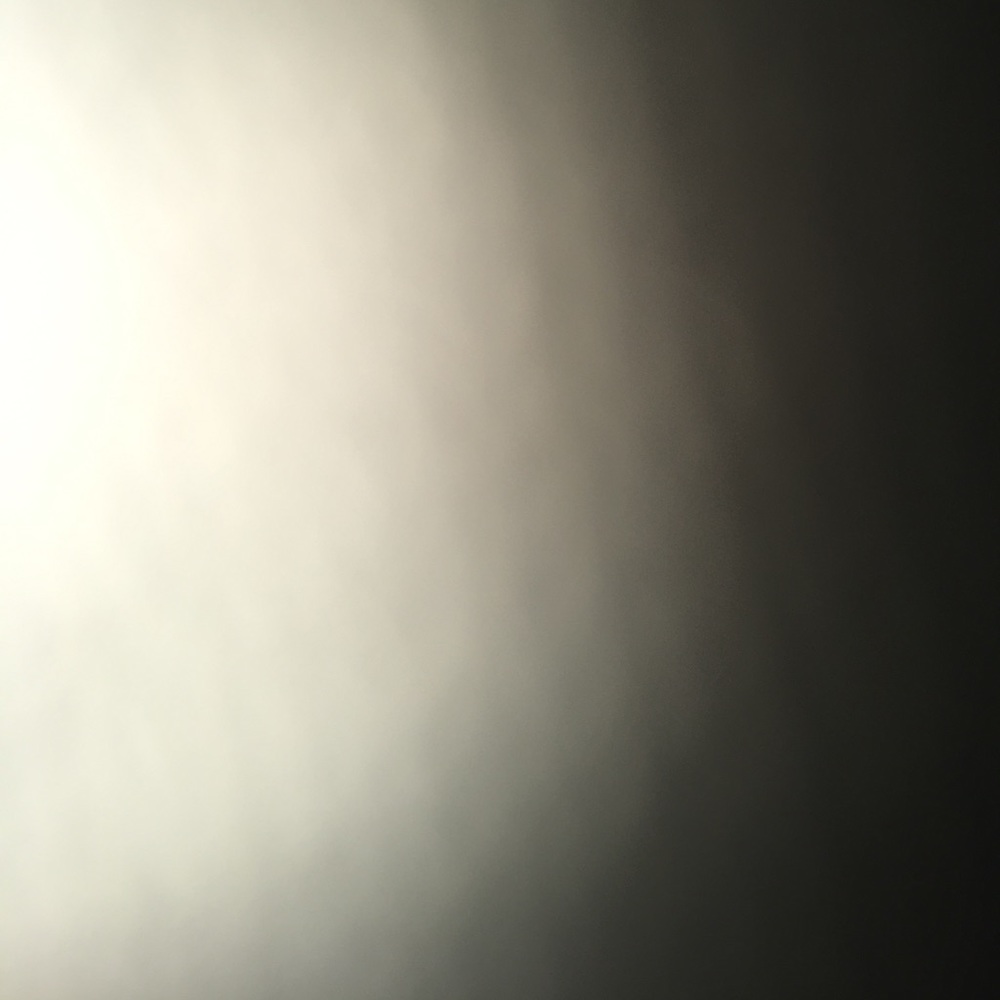 Meet your Posher, Lee