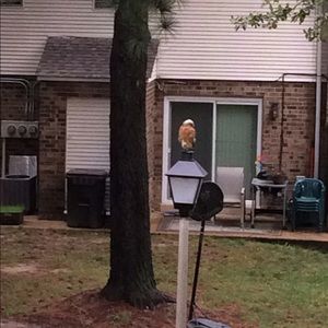 Meet your Posher, Sharon