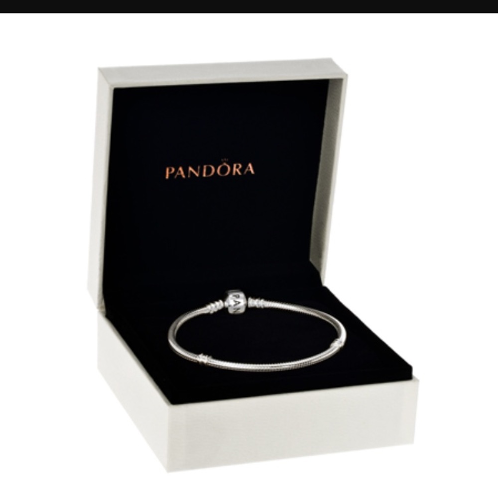 ✨Last 1️⃣✨EUC Pandora Iconic Barrel Clasp Bracelet