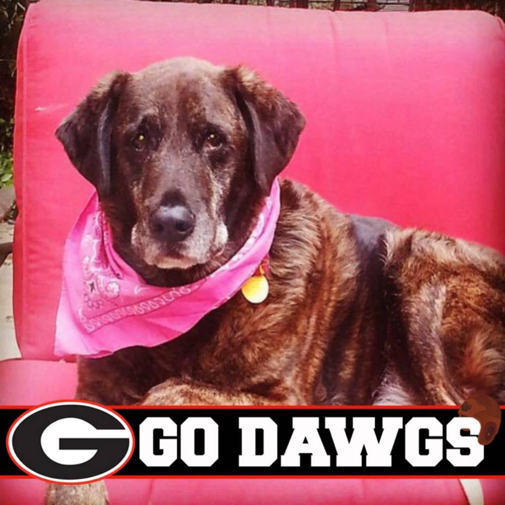 Meet your Posher, Tessa