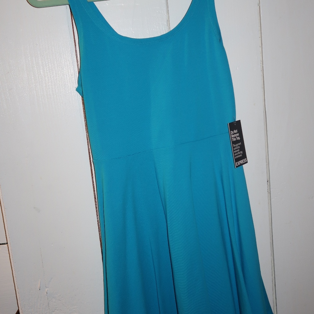 NWT Express Blue Skater Dress