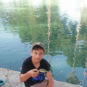 Meet your Posher, Kyler