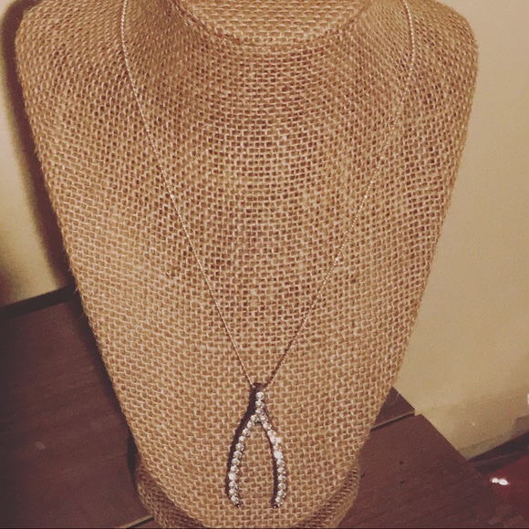 Silver Wishbone Necklace - Picture 1 of 2
