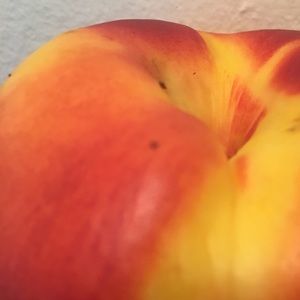 Meet your Posher, Yoseph