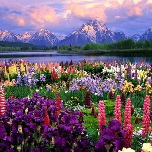 Meet your Posher, Debora