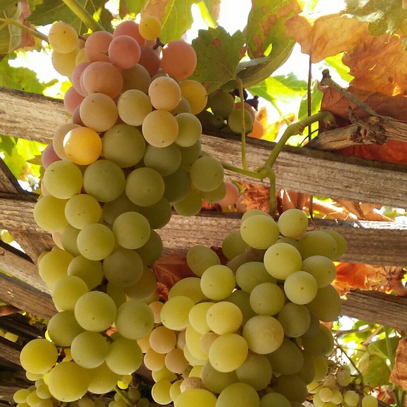 Life is a party, dress like it! - Picture 6 of 10