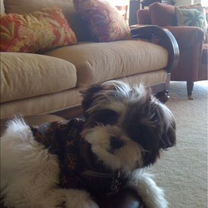 Meet your Posher, Anna