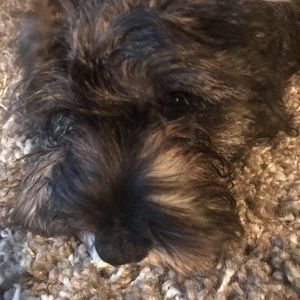 Meet your Posher, Susan