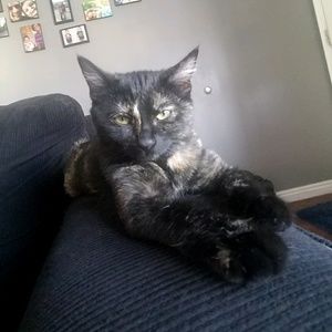 Meet your Posher, Ariana