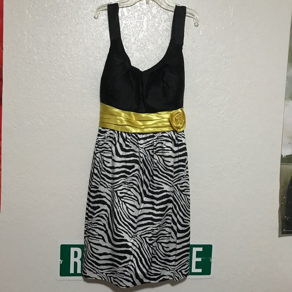 Fancyish Dress