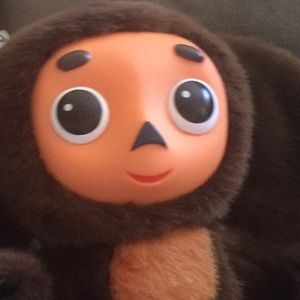 Meet your Posher, Vincent