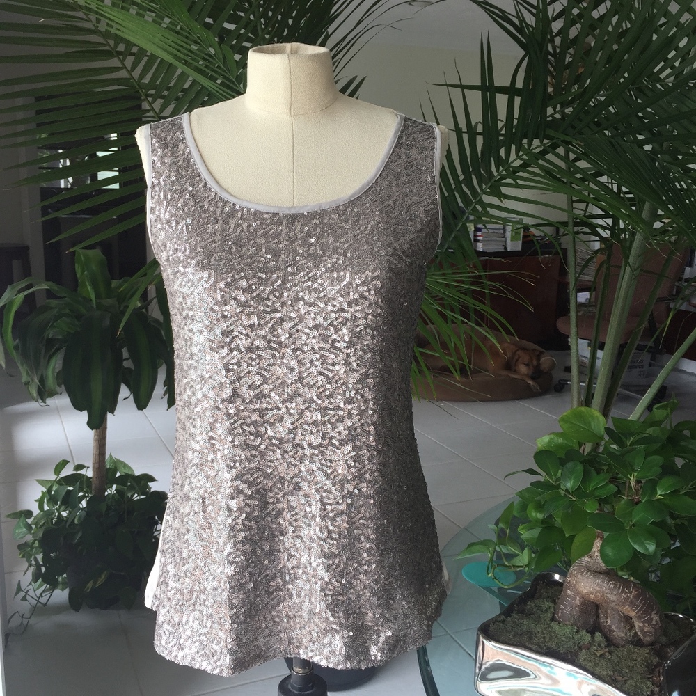 Olive & Oak silver sequence blouse