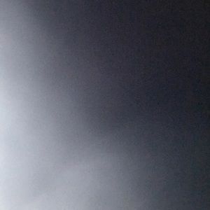 Meet your Posher, Marlee