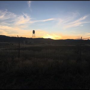 Meet your Posher, Mia