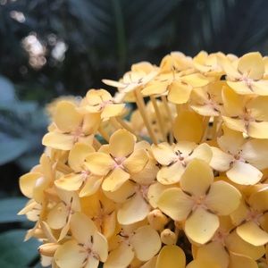 Meet your Posher, Tarik