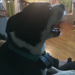 Meet your Posher, Amberlynn