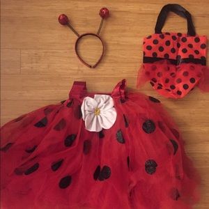 Pottery Barn Kids Lady Bug Costume