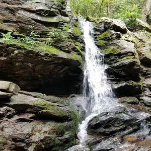 Meet your Posher, Iris